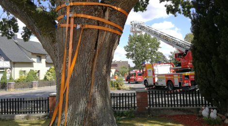 204. Hilfeleistung - - Anforderung DLK - Baum droht auf Straße zu fallen