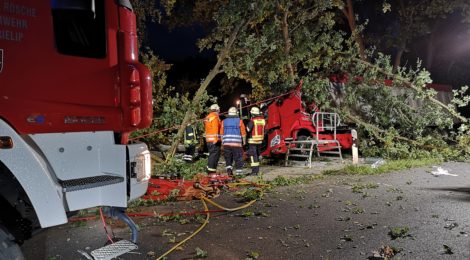 194. Verkehrsunfall Groß - eingeklemmte Person - - LKW gegen Baum